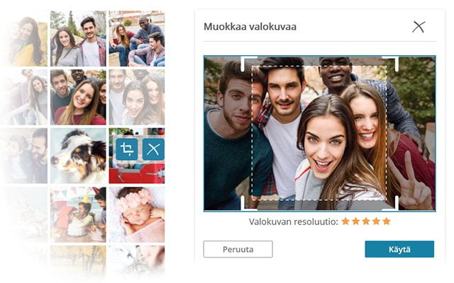 kuvan yksityiskohta-FI